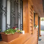 Family Wellness Jacuzzi Sauna Wood Fired Hot Tub 8 Min From Heviz Apartamento Rezi