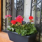 Family Wellness Jacuzzi Sauna Wood Fired Hot Tub 8 Min From Heviz Apartamento