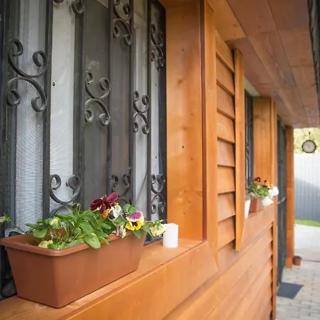 Family Wellness Jacuzzi Sauna Wood Fired Hot Tub 8 Min From Heviz Appartamento Rezi