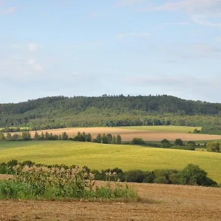 Family Wellness Jacuzzi Sauna Wood Fired Hot Tub 8 Min From Heviz Апартаменты Rezi