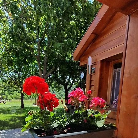 Family Wellness Jacuzzi Sauna Wood Fired Hot Tub 8 Min From Heviz Apartment Rezi