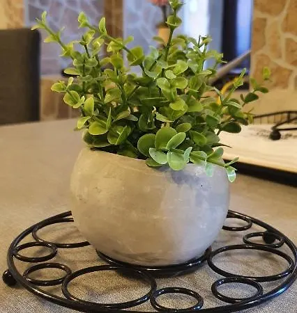 Family Wellness Jacuzzi Sauna Wood Fired Hot Tub 8 Min From Heviz