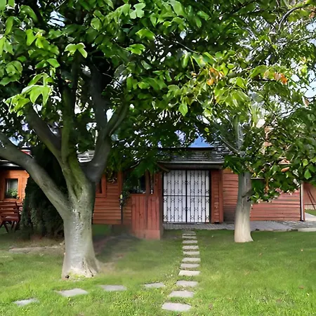 Apartment Family Wellness Jacuzzi Sauna Wood Fired Hot Tub 8 Min From Heviz