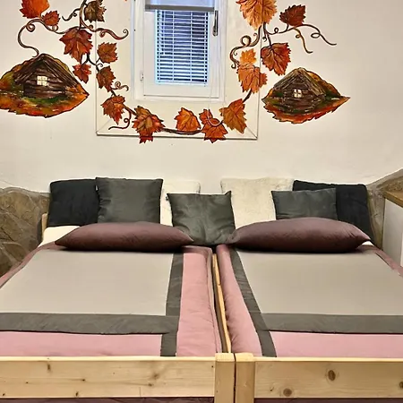 Apartment Family Wellness Jacuzzi Sauna Wood Fired Hot Tub 8 Min From Heviz