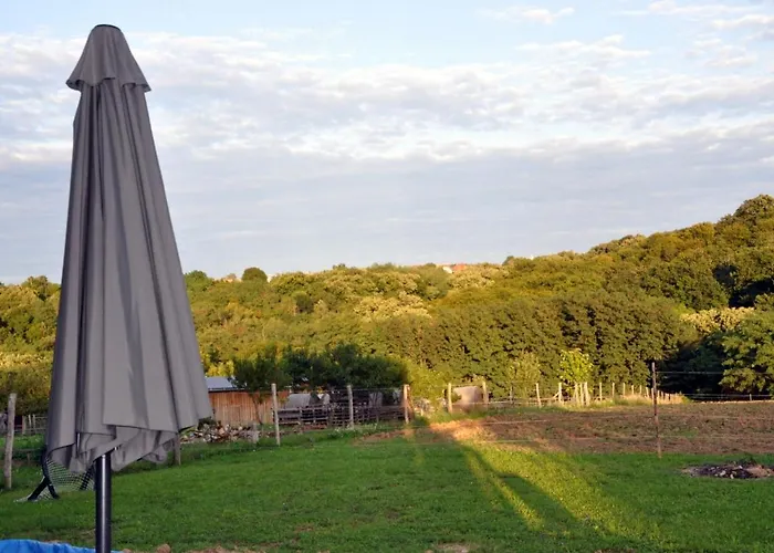 Family Wellness Jacuzzi Sauna Wood Fired Hot Tub 8 Min From Heviz Rezi