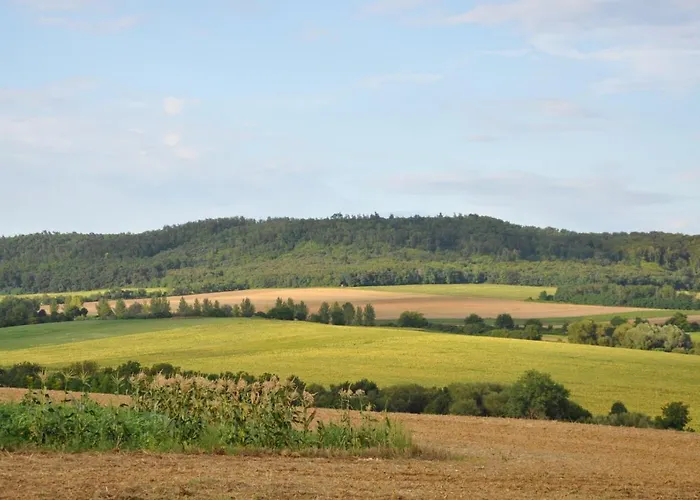 Family Wellness Jacuzzi Sauna Wood Fired Hot Tub 8 Min From Heviz דירה Rezi