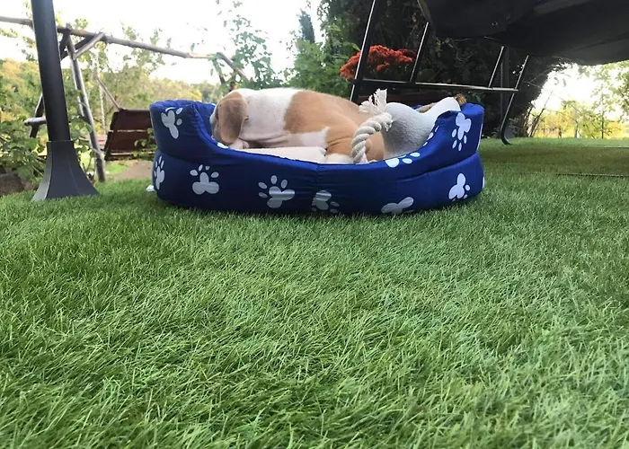 Family Wellness Jacuzzi Sauna Wood Fired Hot Tub 8 Min From Heviz *