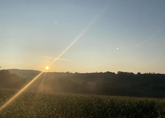 Apartment Family Wellness Jacuzzi Sauna Wood Fired Hot Tub 8 Min From Heviz *