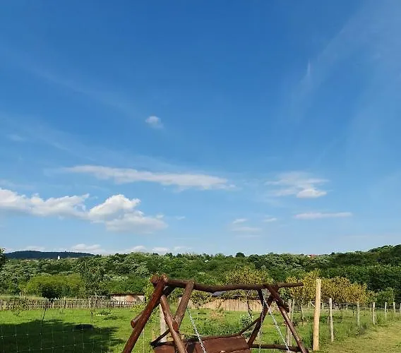 Family Wellness Jacuzzi Sauna Wood Fired Hot Tub 8 Min From Heviz * Rezi