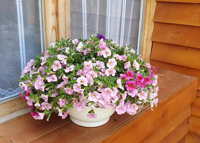 Family Wellness Jacuzzi Sauna Wood Fired Hot Tub 8 Min From Heviz דירה *