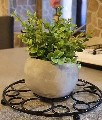 Family Wellness Jacuzzi Sauna Wood Fired Hot Tub 8 Min From Heviz