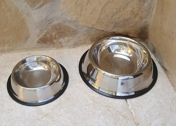 Apartment Family Wellness Jacuzzi Sauna Wood Fired Hot Tub 8 Min From Heviz