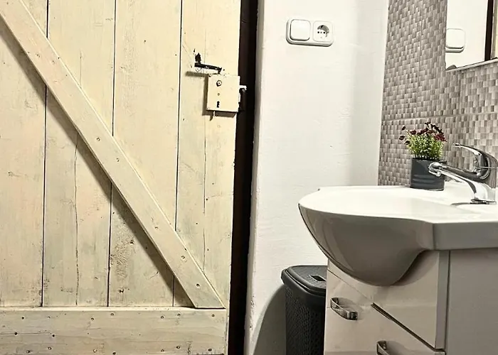 Apartment Family Wellness Jacuzzi Sauna Wood Fired Hot Tub 8 Min From Heviz *